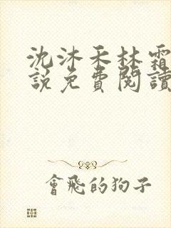 沈沐禾林霜华小说免费阅读