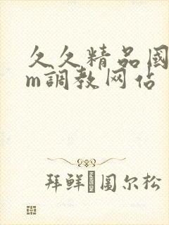 久久精品国产sm调教网站