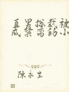 直男总裁被调教成禁脔的小说