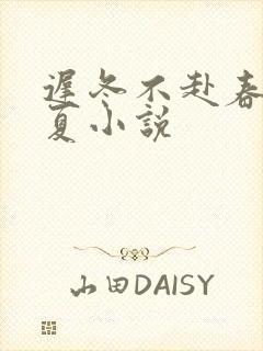 迟冬不赴春安以夏小说封面