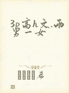 3p高h文.两男一女