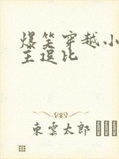 爆笑穿越小说女主逗比