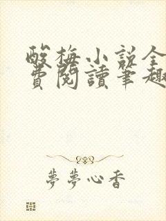 酸梅小说全文免费阅读笔趣阁封面