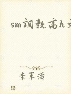 sm调教高h文