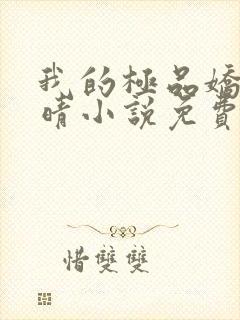 我的极品娇妻苏晴小说免费阅读