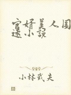 官婿美人图陈志远小说