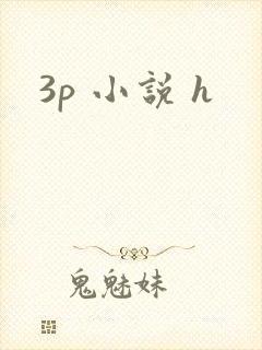 3p 小说 h