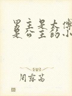 男主是太傅女主是公主的小说