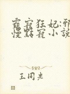 霸宠狂妃:邪王慢点宠小说