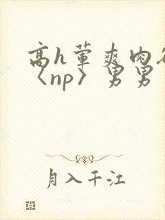 高h荤爽肉欲文〈np〉男男