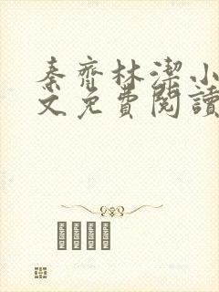 秦齐林洁小说全文免费阅读最新章节