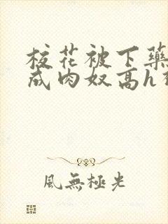 校花被下药调教成肉奴高h视频