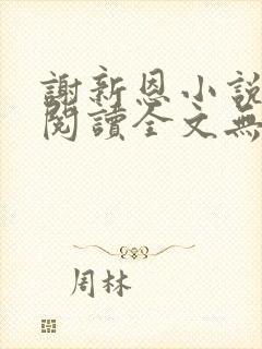 谢新恩小说免费阅读全文无弹窗封面