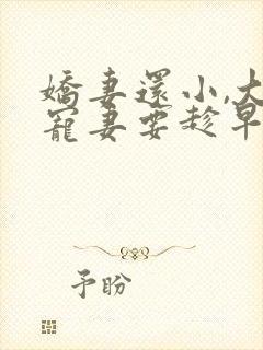 娇妻还小,大叔宠妻要趁早 第12章封面