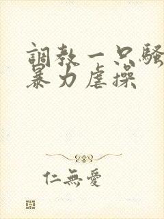 调教一只骚母狗暴力虐操