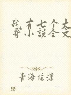 我有七个大佬哥哥小说全文封面