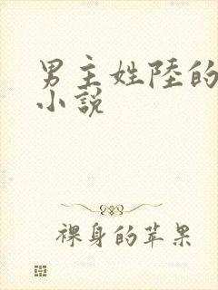 男主姓陆的全部小说封面