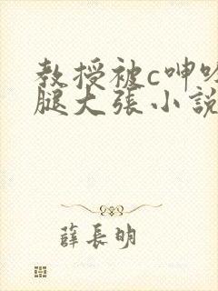 教授被c呻吟双腿大张小说封面