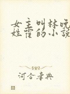 女主叫林晚男主姓霍的小说