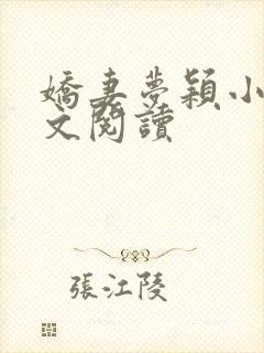 娇妻梦颖小说全文阅读封面