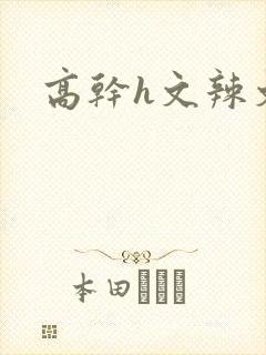 高干h文辣文