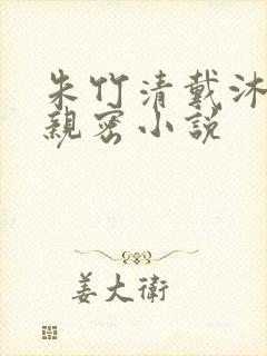 朱竹清戴沐白的亲密小说