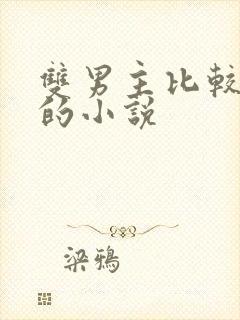 双男主比较好看的小说