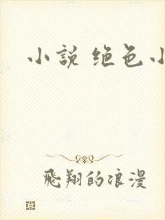 小说 绝色小姨封面