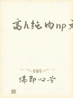 高h纯肉np文