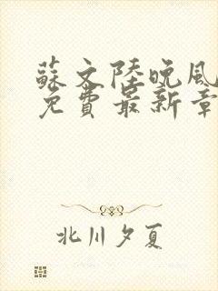 苏文陆晚风全文免费最新章节更新时间