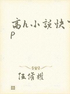 高h小说快穿np
