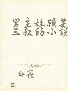 男主姓顾是女主三叔的小说