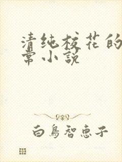 清纯校花的被日常小说封面