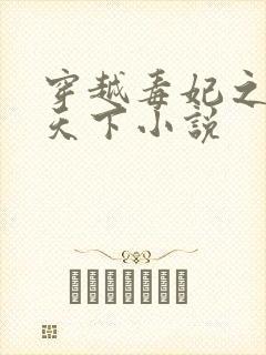 穿越毒妃之凤逆天下小说封面