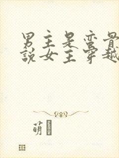 男主是蛮骨的小说女主穿越封面