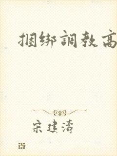 捆绑调教高h文