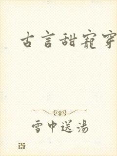 古言甜宠穿书文