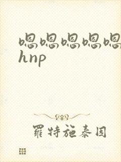 嗯嗯嗯嗯嗯嗯嗯hnp封面
