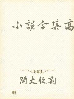 小说合集高辣h