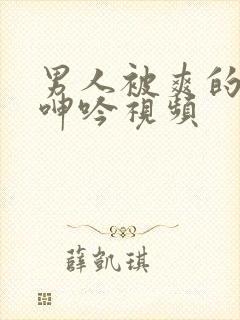 男人被爽的娇喘呻吟视频封面