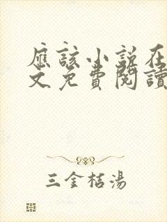 应该小说在线全文免费阅读