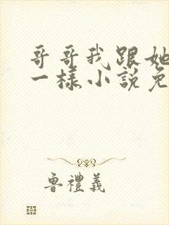 哥哥我跟她们不一样小说免费阅读