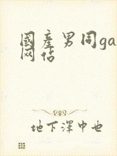 国产男同gay网站