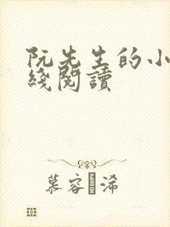 阮先生的小说在线阅读