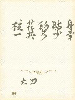 校花的贴身高手一共多少章节