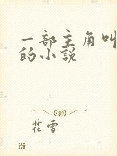 一部主角叫叶楚的小说封面