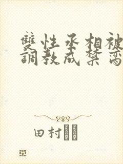 双性丞相被皇帝调教成禁脔