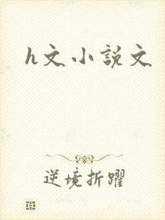 h文小说文