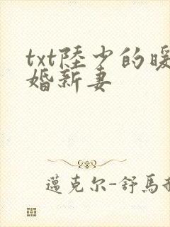 txt陆少的暖婚新妻