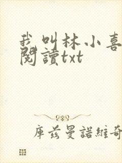 我叫林小喜免费阅读txt